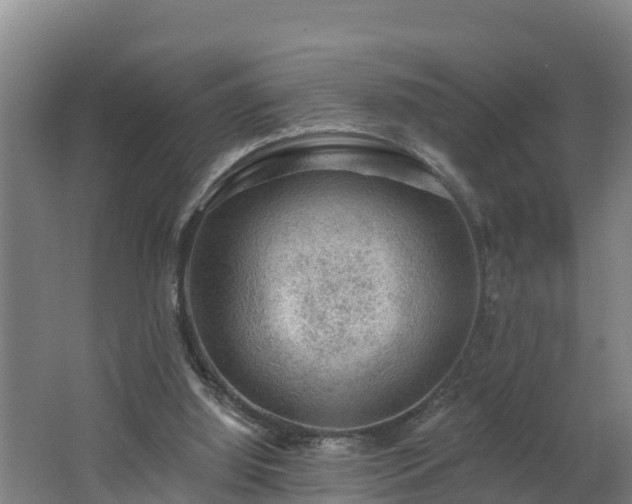 X0000062610060200512230931