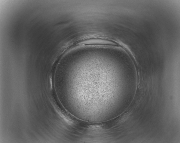 X0000062610061200512230931