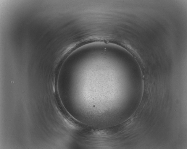 X0000062610062200512230931