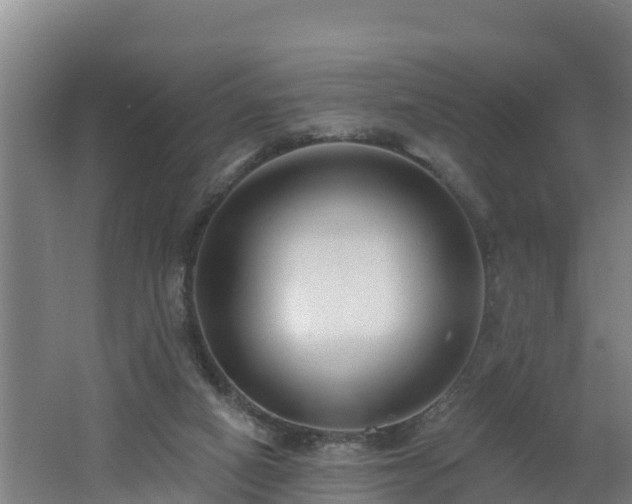 X0000062610066200512230931