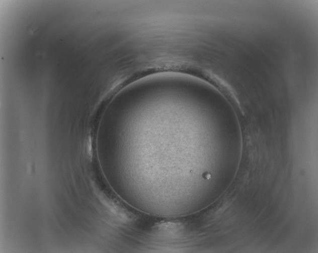 X0000062610067200512230931