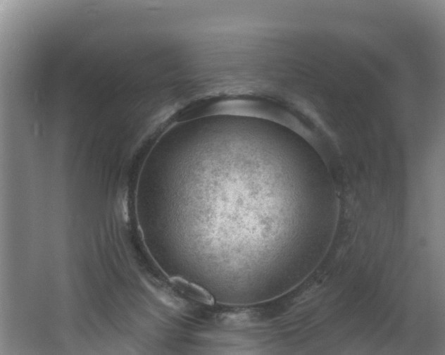 X0000062610068200512230931