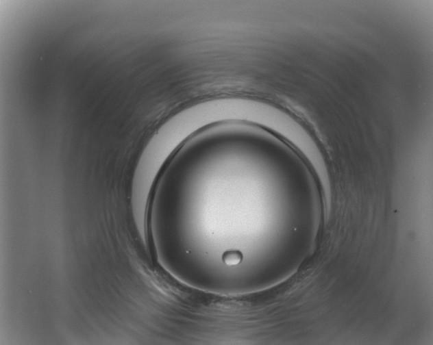 X0000062610069200512230931