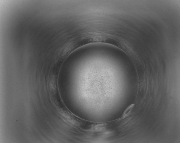 X0000062610078200512230931