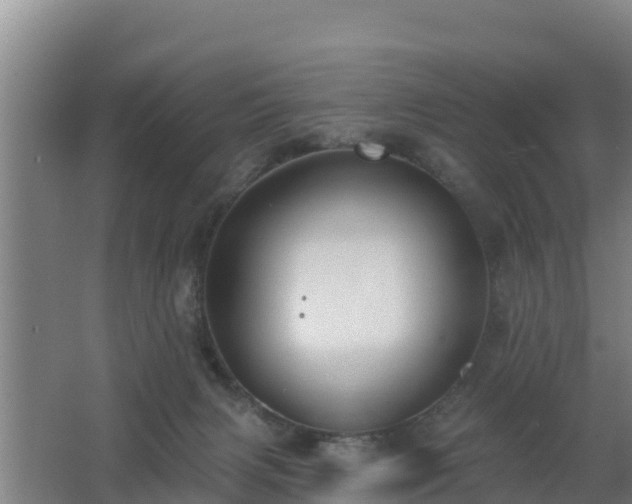 X0000062610079200512230931