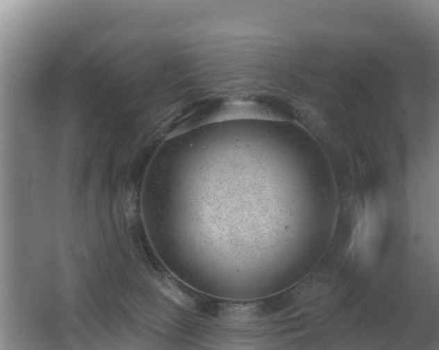 X0000062610081200512230931