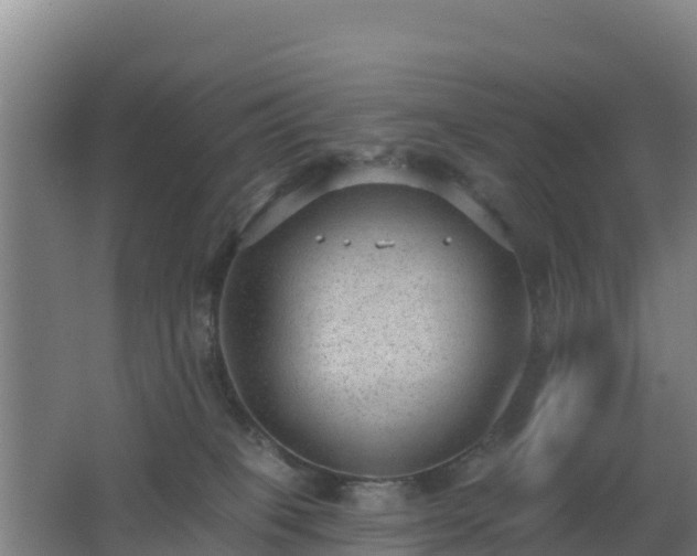 X0000062610085200512230931