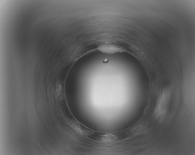 X0000062610087200512230931