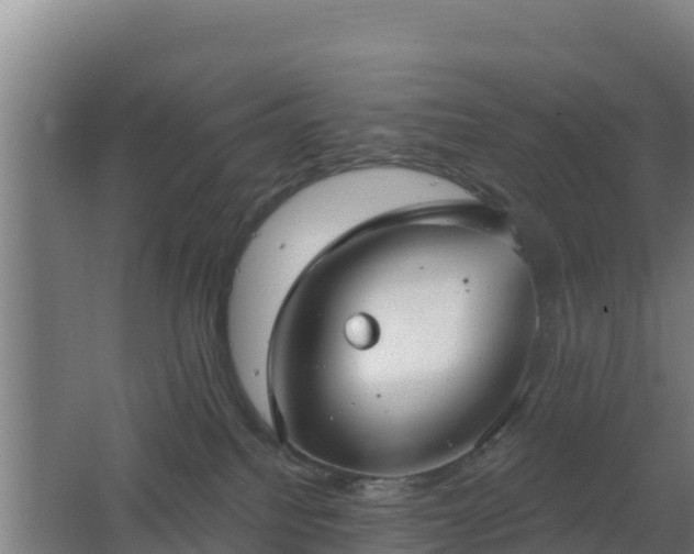 X0000062610088200512230931