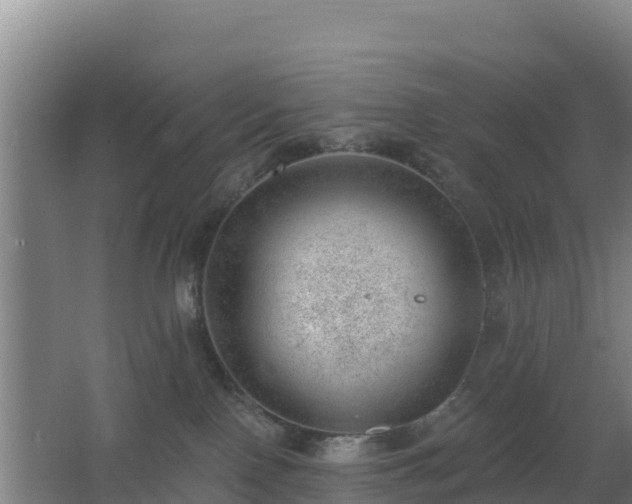 X0000062610090200512230931