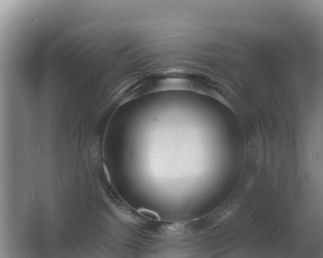 X0000062610092200512230931