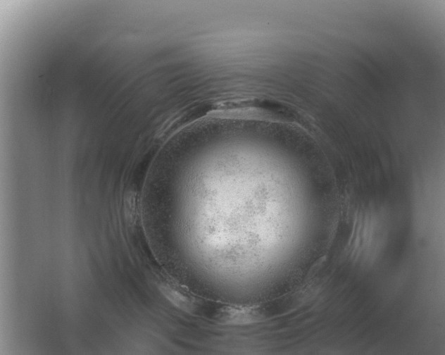 X0000062610093200512230931