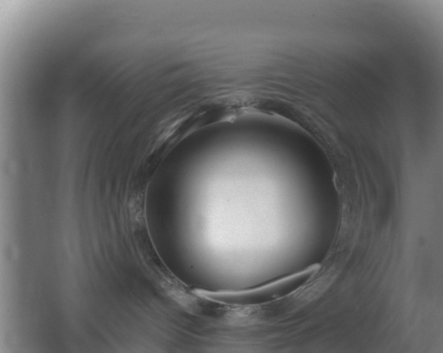 X0000062610096200512230931