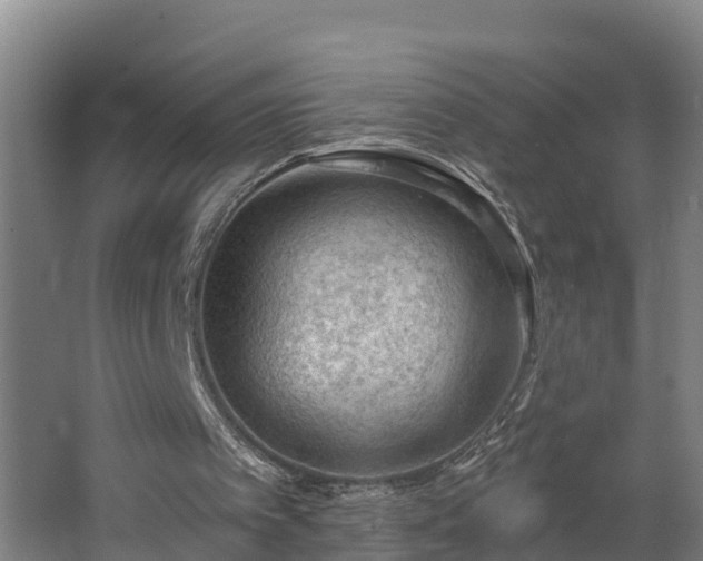 X0000062610097200512230930