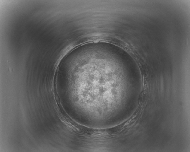 X0000062610099200512230930