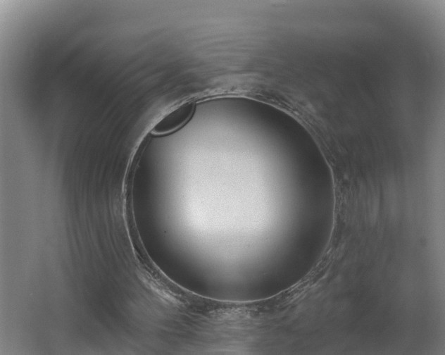 X0000062610100200512230930