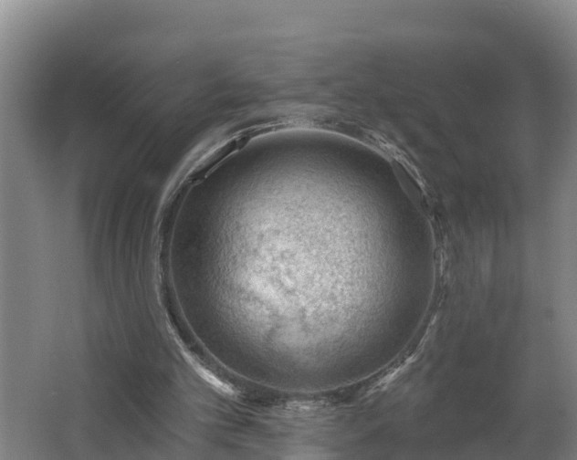 X0000062610101200512230930