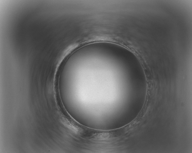 X0000062610104200512230930