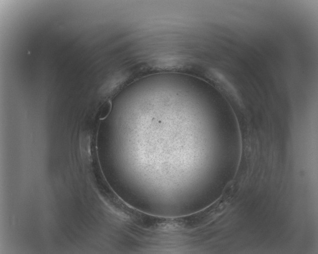 X0000062610115200512230930