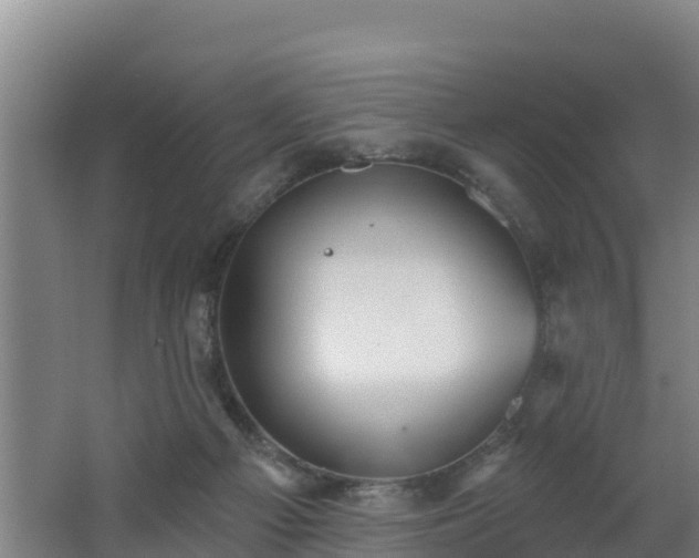 X0000062610121200512230930