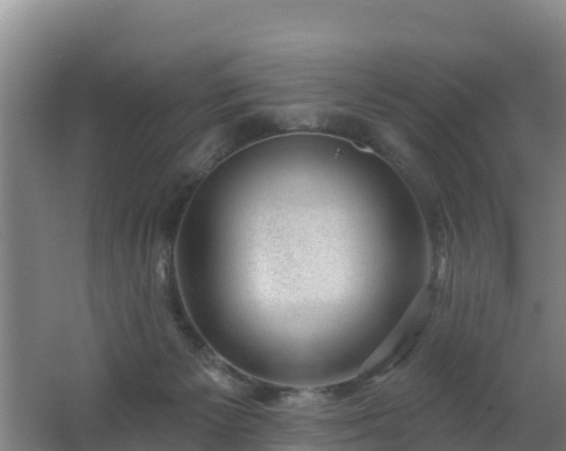 X0000062610125200512230930