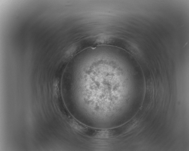 X0000062610127200512230930