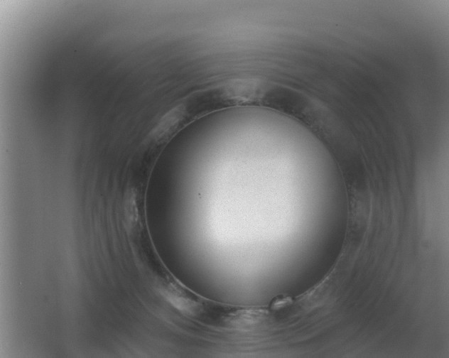 X0000062610128200512230930