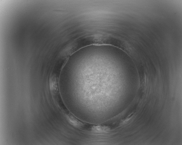 X0000062610137200512230930