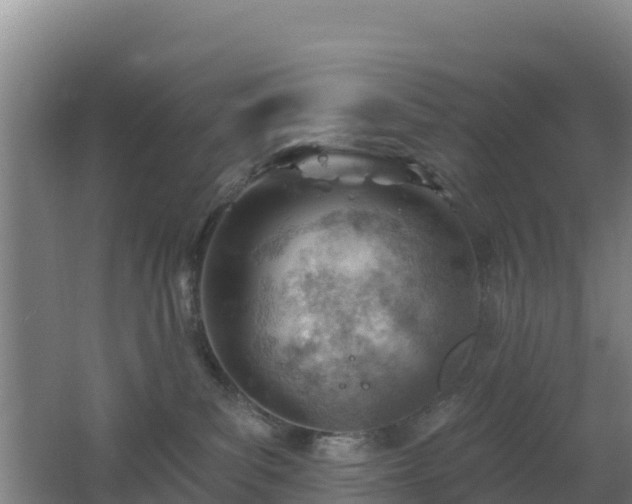 X0000062610139200512230930