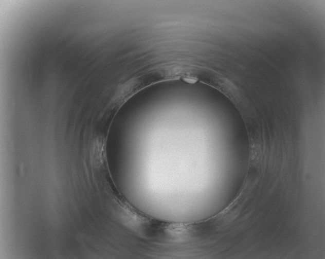 X0000062610142200512230930