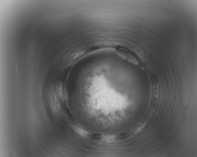 X0000062610143200512230930