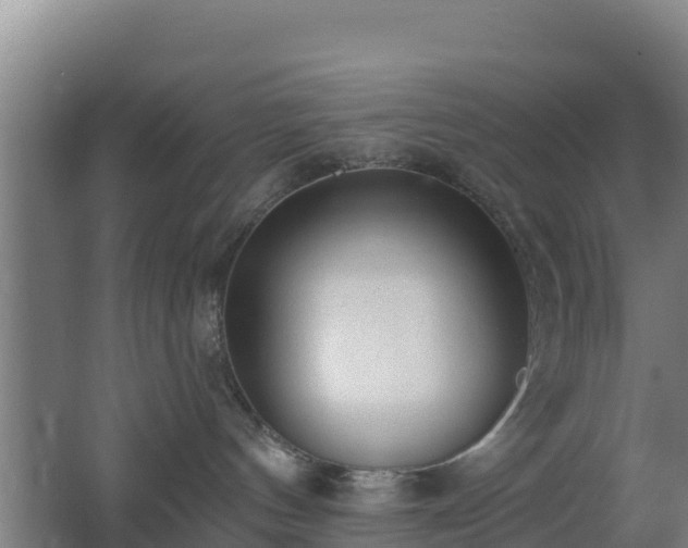 X0000062610144200512230930