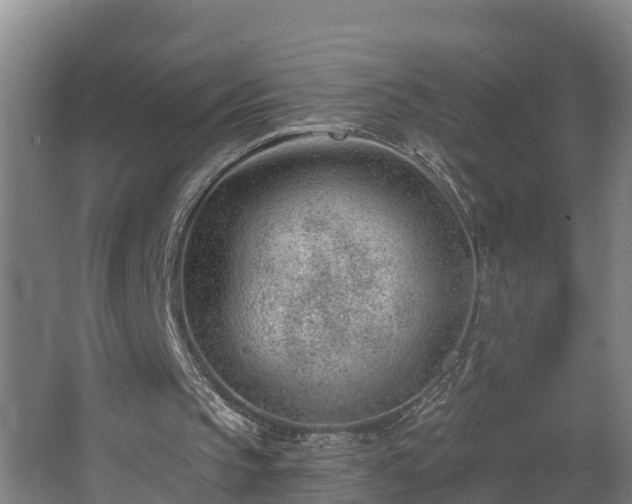 X0000062610145200512230929