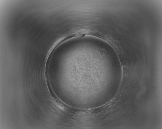 X0000062610147200512230929