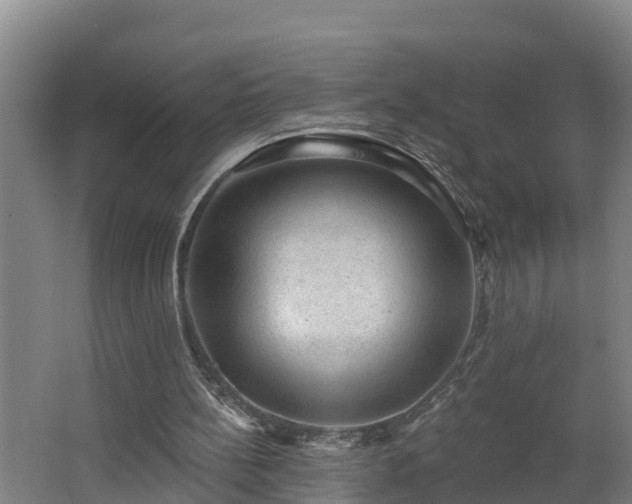 X0000062610148200512230929