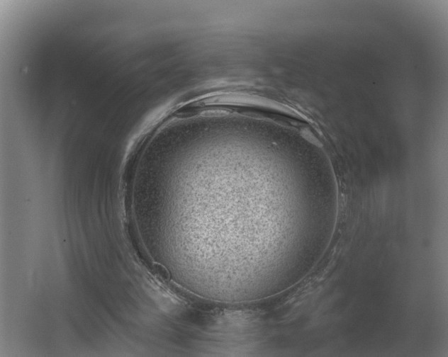 X0000062610149200512230929