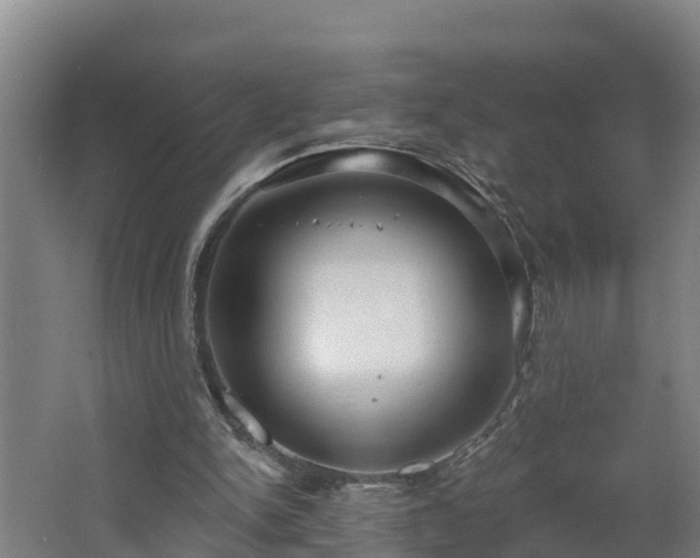 X0000062610150200512230929