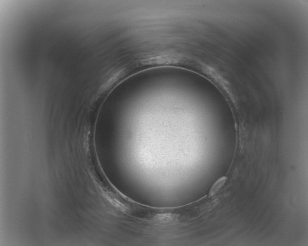 X0000062610153200512230929