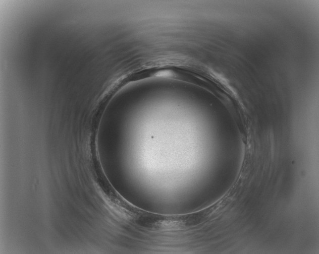 X0000062610154200512230929