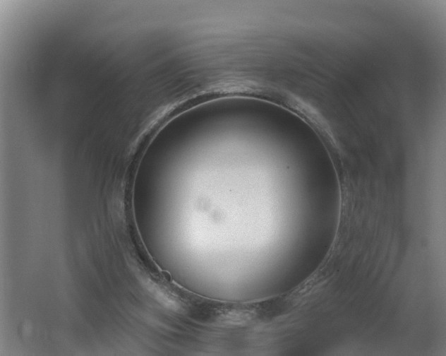 X0000062610155200512230929