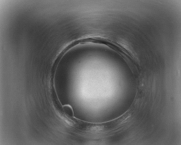 X0000062610156200512230929