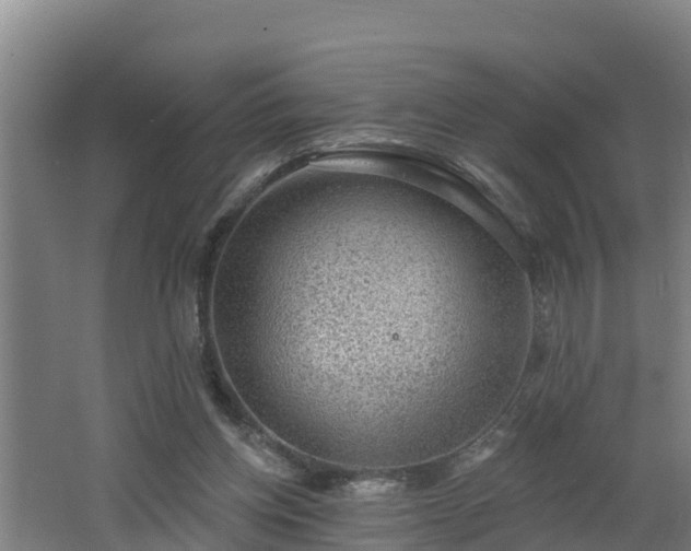 X0000062610158200512230929