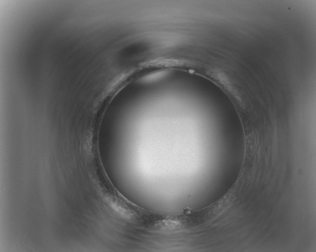 X0000062610159200512230929