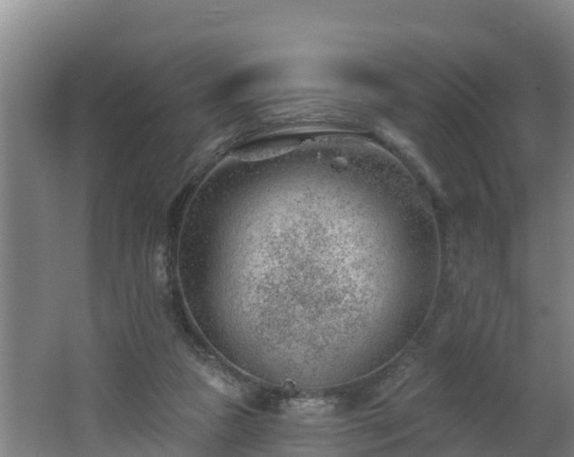 X0000062610161200512230929