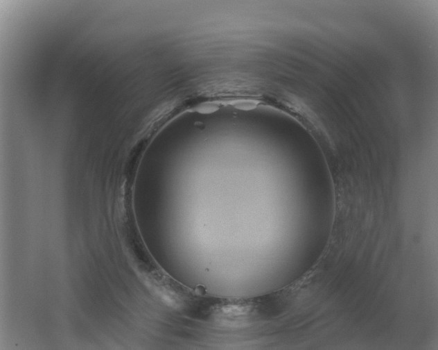 X0000062610163200512230929