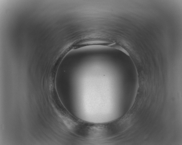 X0000062610164200512230929