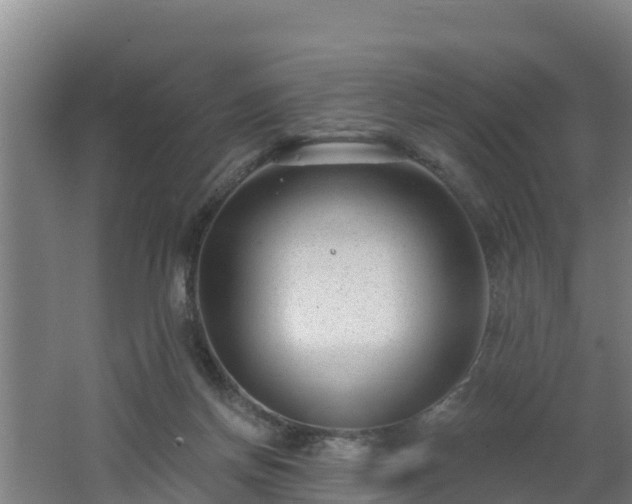 X0000062610166200512230929