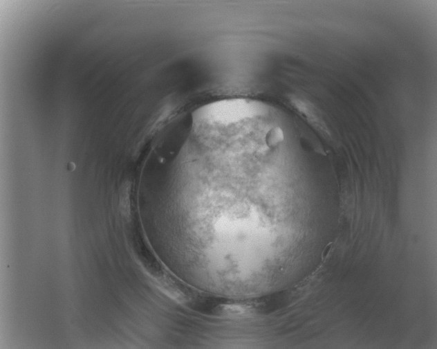 X0000062610167200512230929