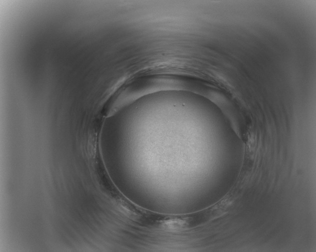 X0000062610168200512230929