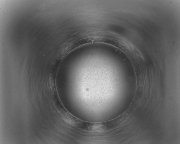 X0000062610173200512230929